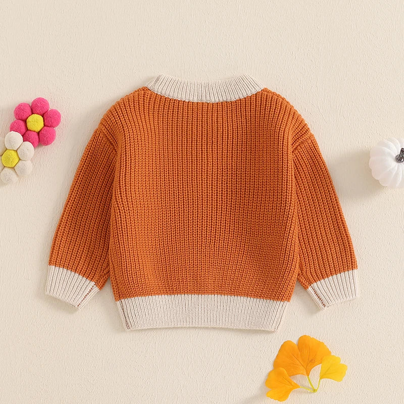 Toddler Baby Halloween Sweaters Long Sleeve Round Neck Ghost/Letter Embroidery Knit Tops Sweatshirts